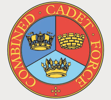 Logo icon