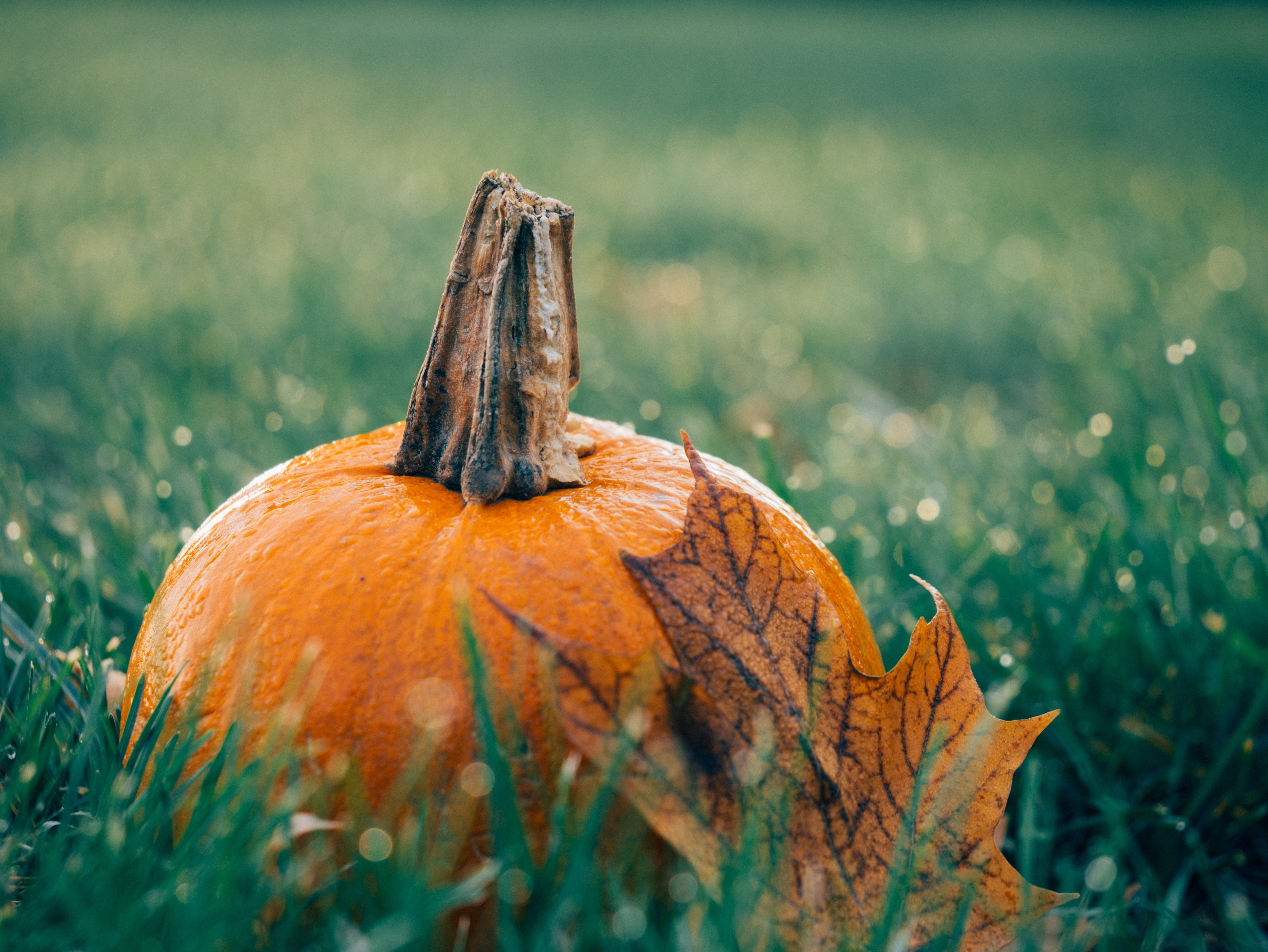 October Half Term Holiday
