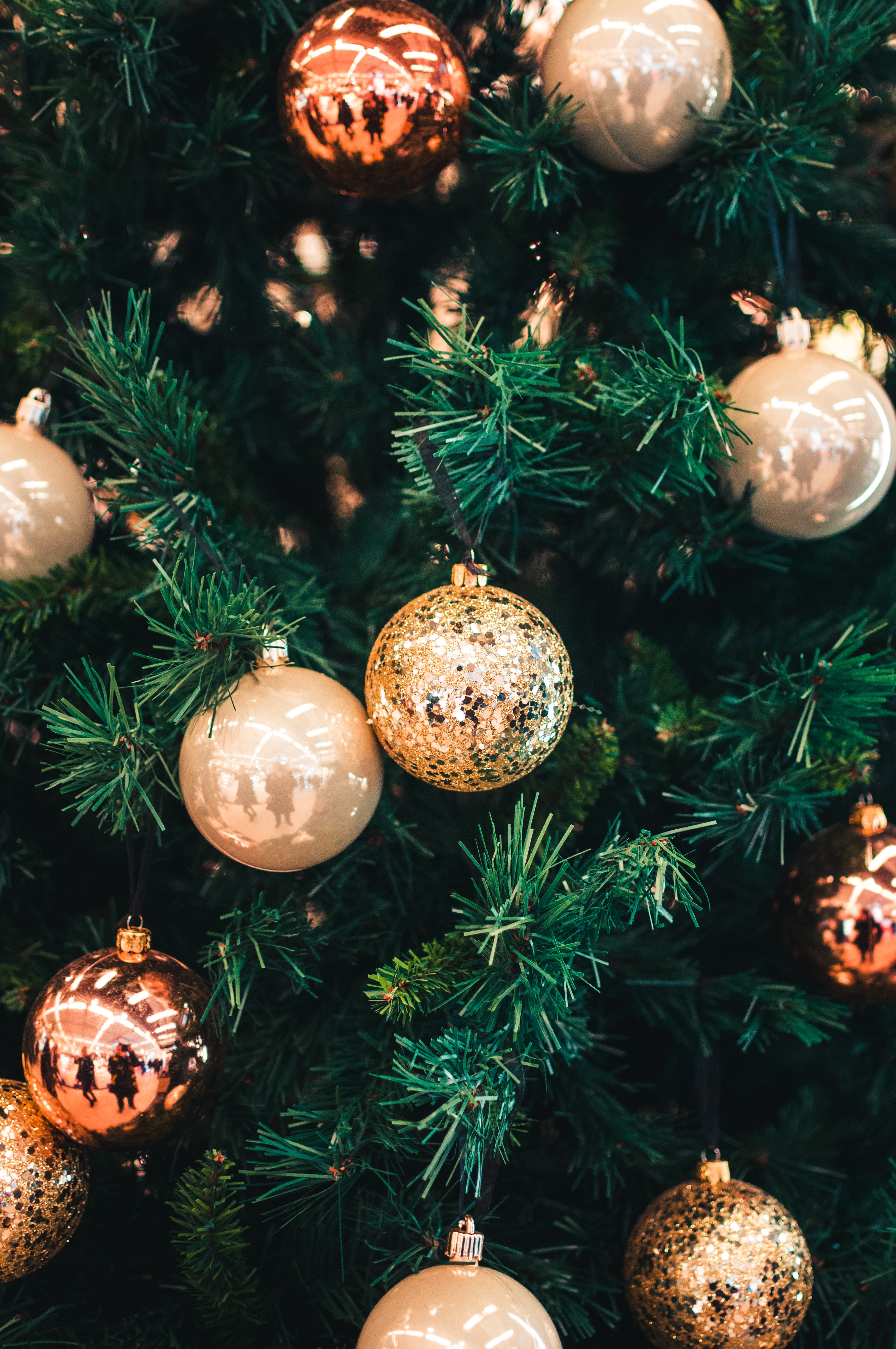 Christmas Holidays